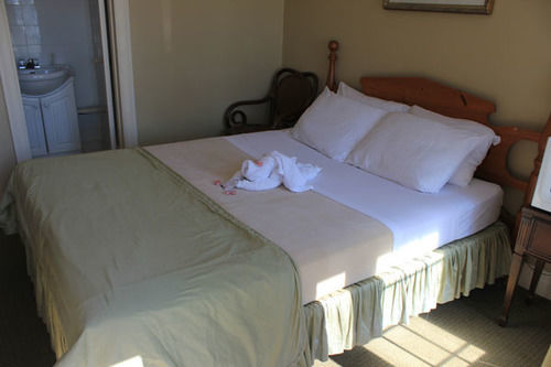 E-Lodge Near The Falls Niagara Falls Eksteriør billede